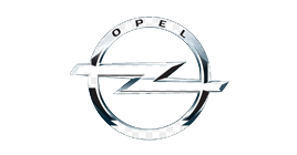 Ремонт форсунок и ТНВД OPEL