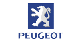 Ремонт форсунок и ТНВД PEUGEOT